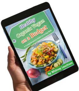 healthy organic vegan ebook blue new ipad