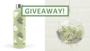 Giveaway: Beautiful Eco Home Goods from DSC